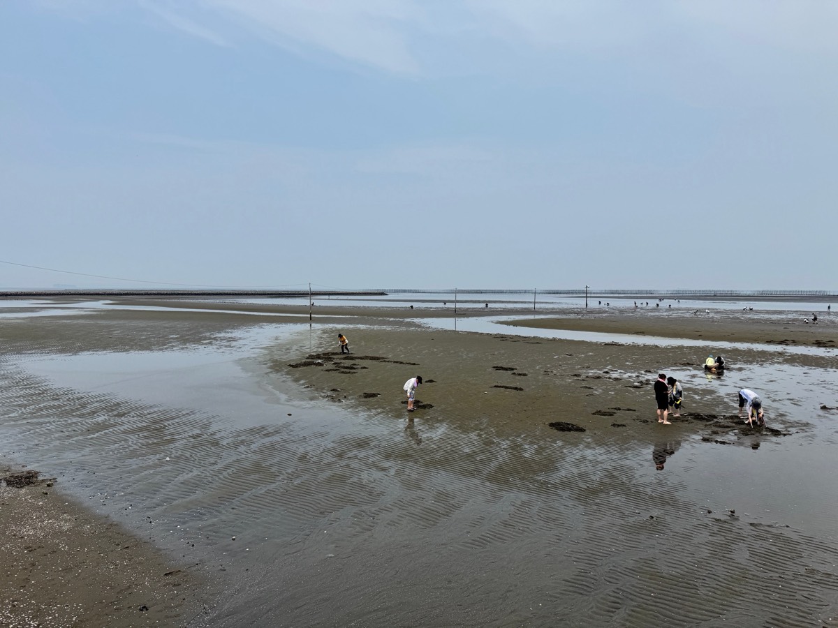 富津海岸の潮干狩り|富津海岸の干潟