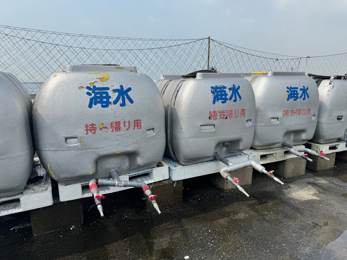 富津海岸の潮干狩り|海水持ち帰り用のタンク