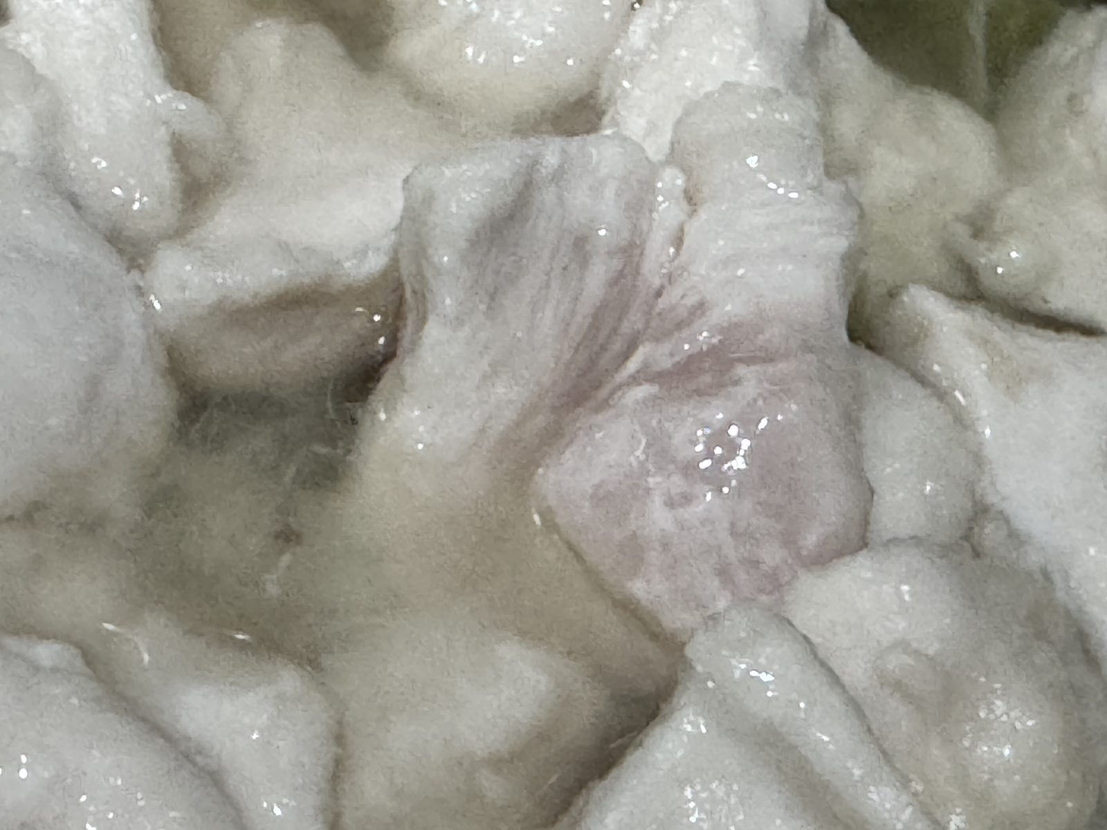 中がまだピンク色の鶏むね肉のアップ