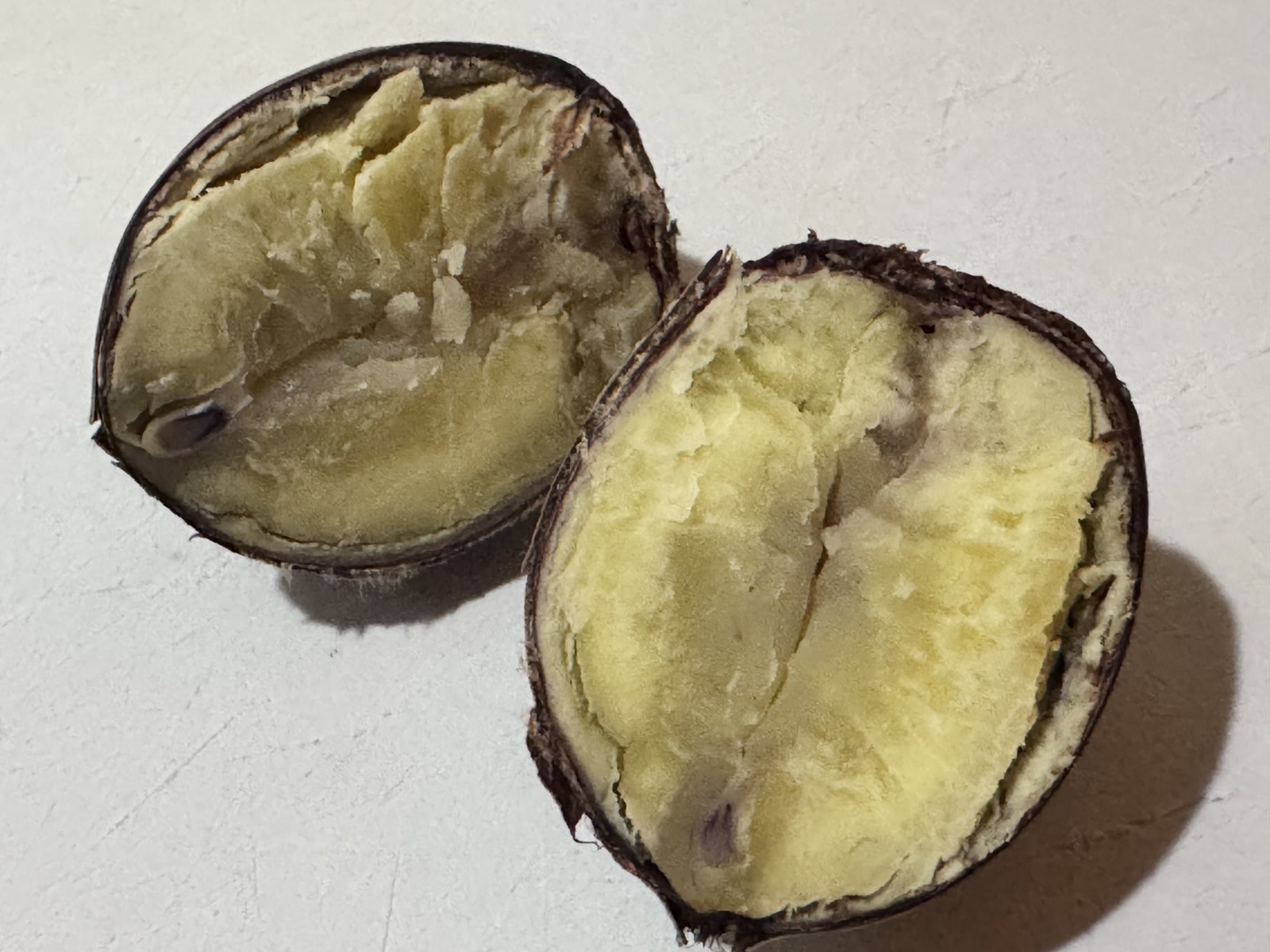 ホットクックで蒸して半分に切った栗の断面